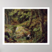 Stacheln Poster (Vorne)