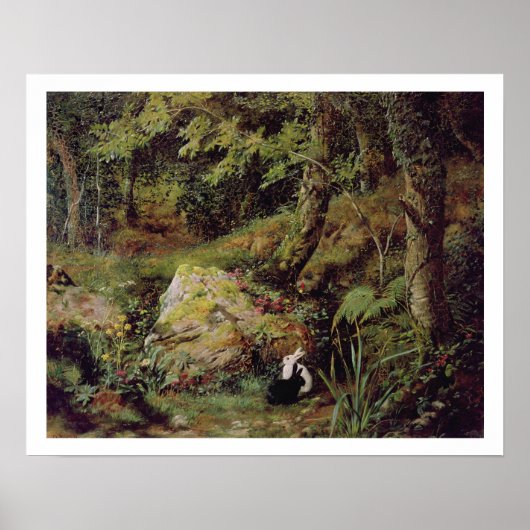 Stacheln Poster (Vorne)