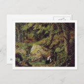 Stacheln Postkarte (Vorne/Hinten)