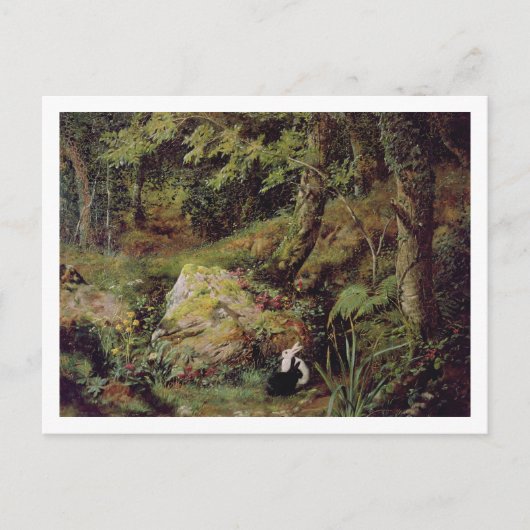 Stacheln Postkarte (Vorderseite)