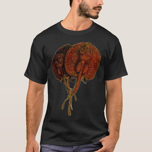 Stachelrochen Rochen Potamotrygon Monsterfisch Mon T-Shirt (Vorderseite)