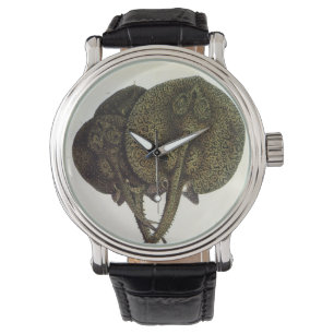Stachelrochen Stingrays, Vintage Meeresleben Tiere Armbanduhr