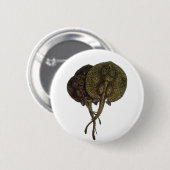 Stachelrochen Stingrays, Vintage Meeresleben Tiere Button (Vorne & Hinten)