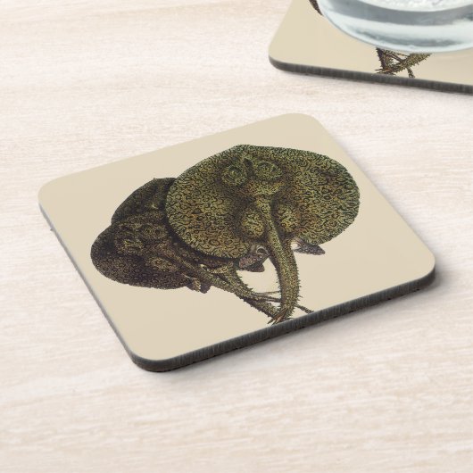 Stachelrochen Stingrays, Vintage Meeresleben Tiere Getränkeuntersetzer (Linke Seite)