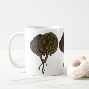 Stachelrochen Stingrays, Vintage Meeresleben Tiere Kaffeetasse