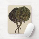 Stachelrochen Stingrays, Vintage Meeresleben Tiere Mousepad (Mit Mouse)