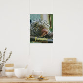 Stachelschwein 2 Poster (Küche)