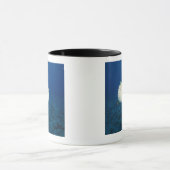 Stachelschwein-Fische Tasse (Zentrum)