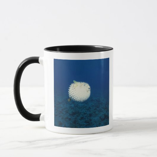 Stachelschwein-Fische Tasse (Links)