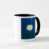 Stachelschwein-Fische Tasse (VorderseiteRechts)