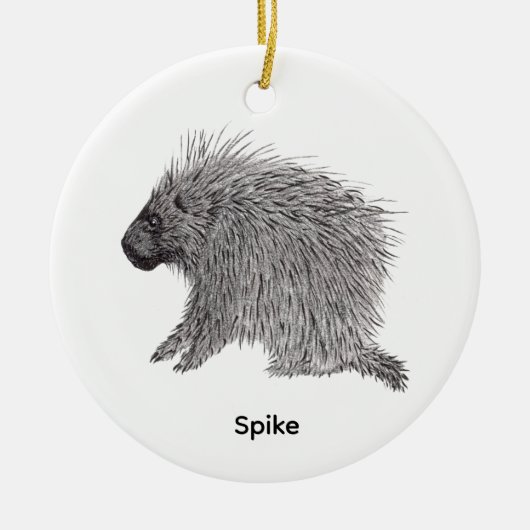 Stachelschwein Keramik Ornament (Vorne)