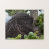 Stachelschwein Puzzle (Horizontal)