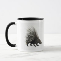 Stachelschwein