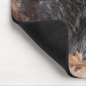 Stachelschwein und Apple Mousepad (Ecke)