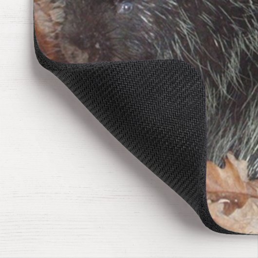 Stachelschwein und Apple Mousepad (Ecke)