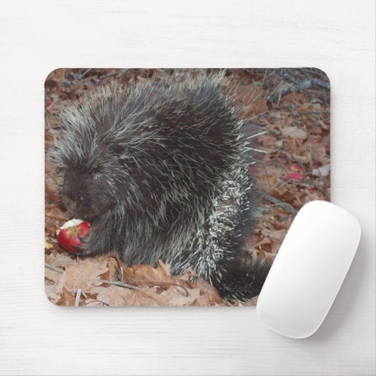 Stachelschwein und Apple Mousepad (Mit Mouse)
