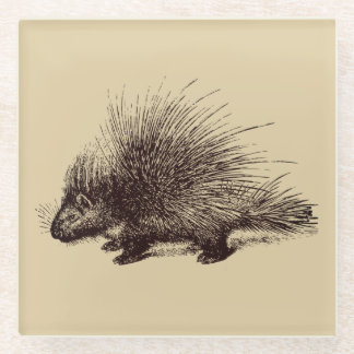 Stachelschwein Vintage-Illustration Glasuntersetzer