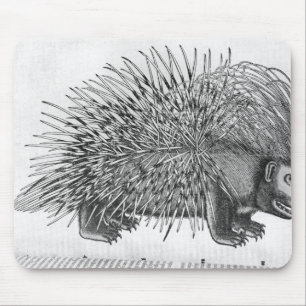 Stachelschwein, von 'Historia Animalium Mousepad