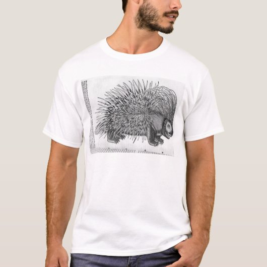 Stachelschwein, von 'Historia Animalium T-Shirt (Vorderseite)