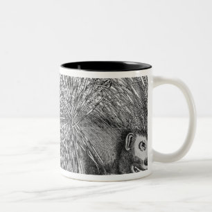 Stachelschwein, von 'Historia Animalium Zweifarbige Tasse