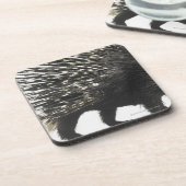 Stachelschweinspulen Getränkeuntersetzer (Linke Seite)