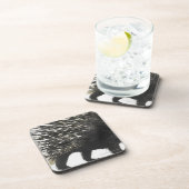 Stachelschweinspulen Getränkeuntersetzer (Rechte Seite)