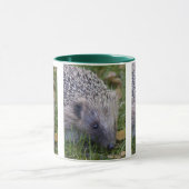 Stacheltassenbecher Tasse (Zentrum)