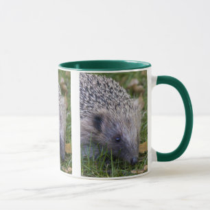 Stacheltassenbecher Tasse