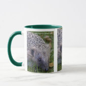 Stacheltassenbecher Tasse (Links)