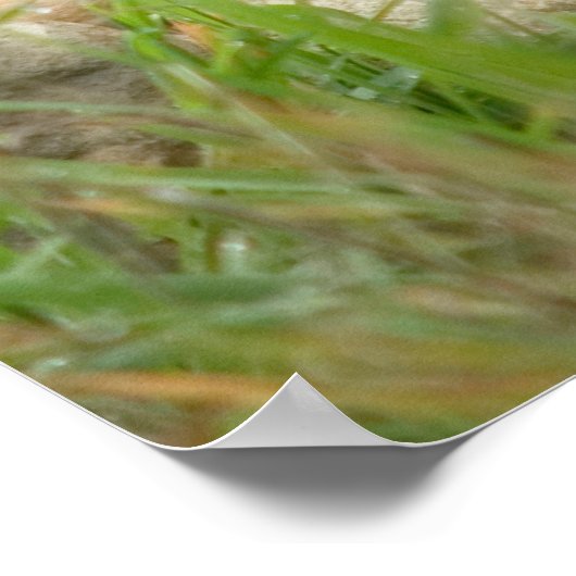 Stack der ausgewogenen Steine Poster (Ecke)