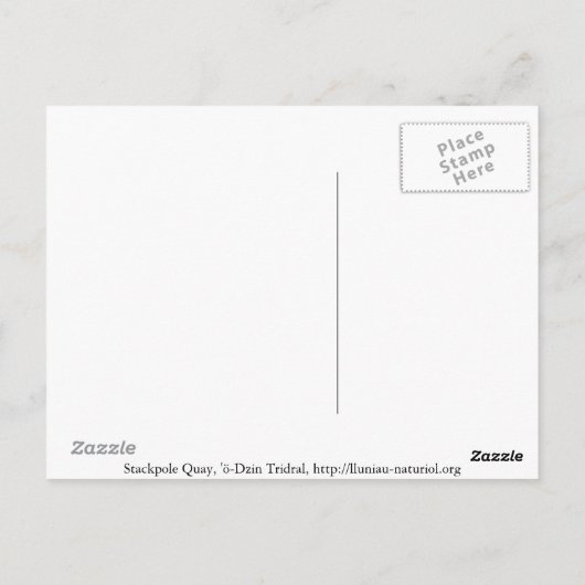 Stackpole Quay [Postkarte] Postkarte (Rückseite)