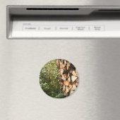 Stacks Firewood Nature Fotografy Magnet (In Situ (Geschirrspüler))