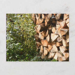 Stacks Firewood Nature Fotografy Postcard Postkarte