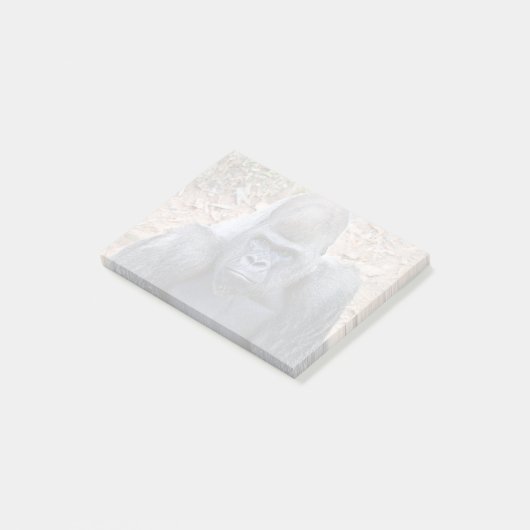 Stadi im Zoo Atlanta (2023) Post-it Klebezettel (angewinkelt)