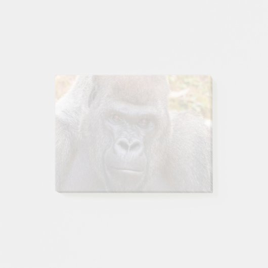 Stadi im Zoo Atlanta (2023) Post-it Klebezettel (Vorderseite)