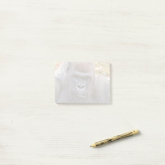 Stadi im Zoo Atlanta (2023) Post-it Klebezettel (Auf Schreibtisch)