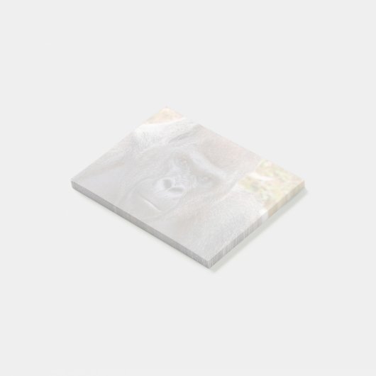 Stadi im Zoo Atlanta (2023) Post-it Klebezettel (angewinkelt)