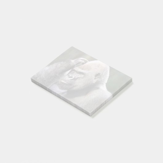 Stadi im Zoo Atlanta Post-it-Notes Post-it Klebezettel (angewinkelt)