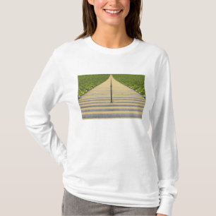 Stadionstreppenhaus zwischen Reihen der grünen T-Shirt