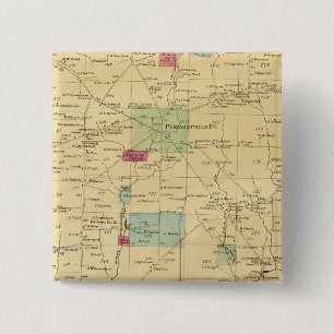 Stadt Allegheny Button