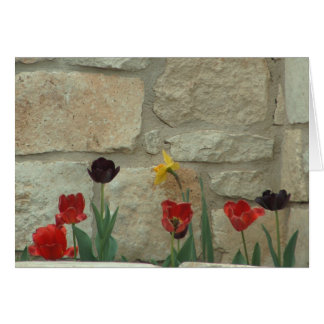 Stadt-Blüte