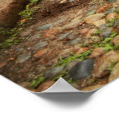 Stadt - Boston MA - Acorn Street Poster (Ecke)