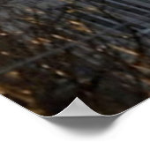 STADT LOWELL SUN GEBÄUDE POSTER (Ecke)