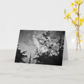 Stadt Noir, Karte (Gelbe Blume)