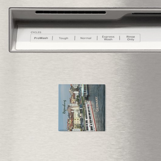 Stadt Regensburg Magnet (In Situ (Geschirrspüler))