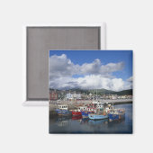 Stadt und Hafen, Dingle, Landkreis Kerry, Magnet (Vorderseite/Rückseite)
