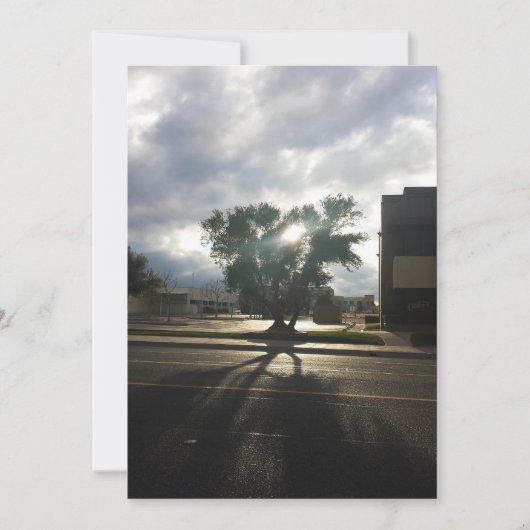 Stadtbaum Ankündigung (Vorderseite)