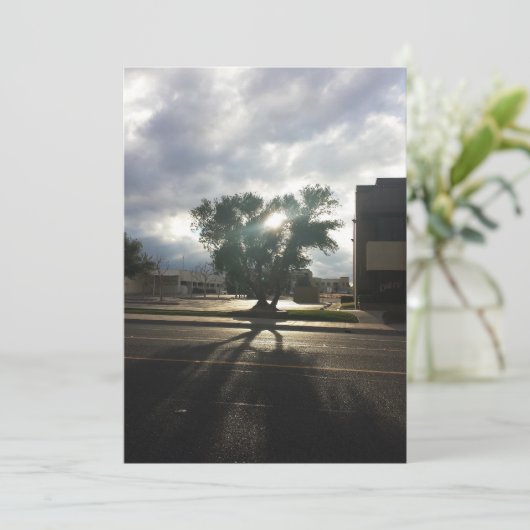 Stadtbaum Ankündigung (Stehend Vorderseite)