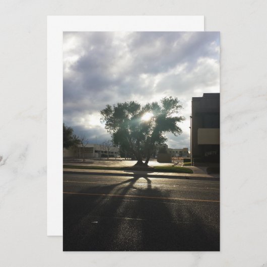 Stadtbaum Ankündigung (Vorne/Hinten)