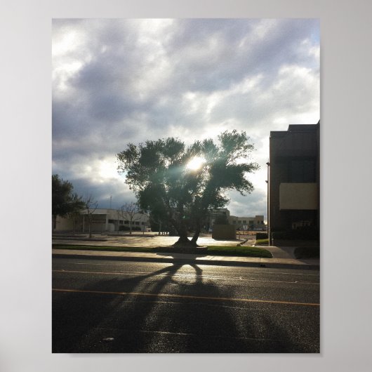 Stadtbaum Poster (Vorne)